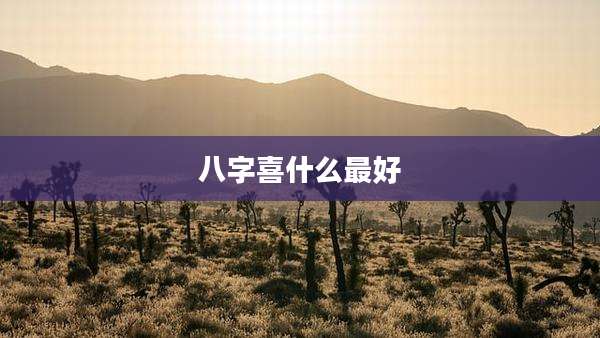 八字喜什么最好