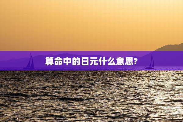 算命中的日元什么意思?