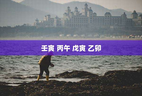 壬寅 丙午 戊寅 乙卯