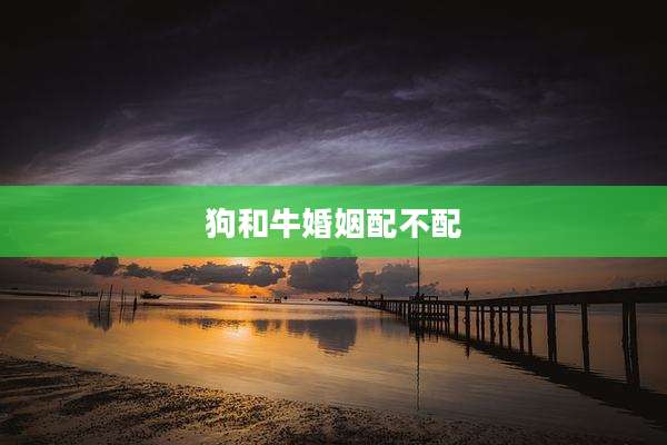狗和牛婚姻配不配