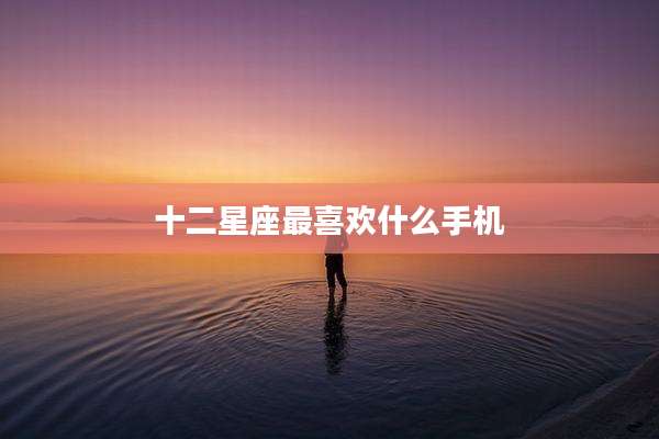 十二星座最喜欢什么手机
