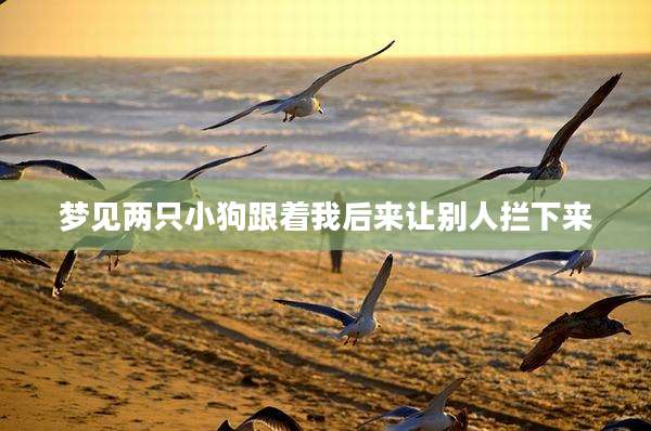 梦见两只小狗跟着我后来让别人拦下来