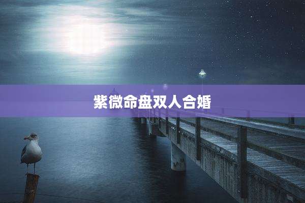 紫微命盘双人合婚