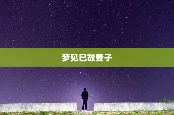 梦见巳故妻子