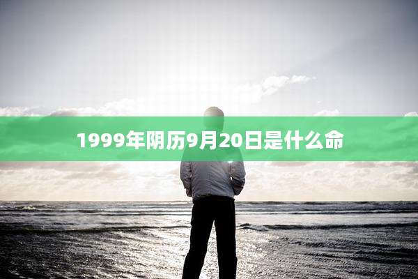 1999年阴历9月20日是什么命