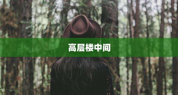 高层楼中间