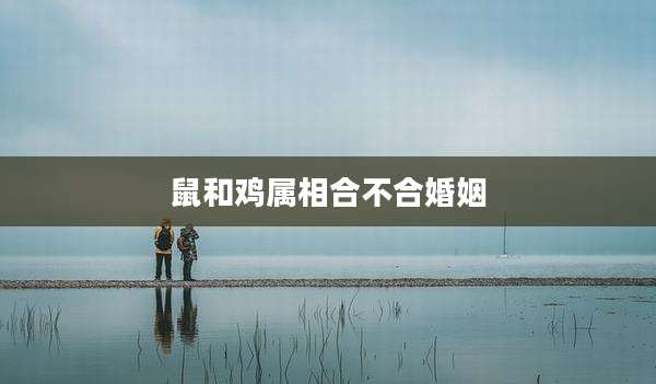 鼠和鸡属相合不合婚姻