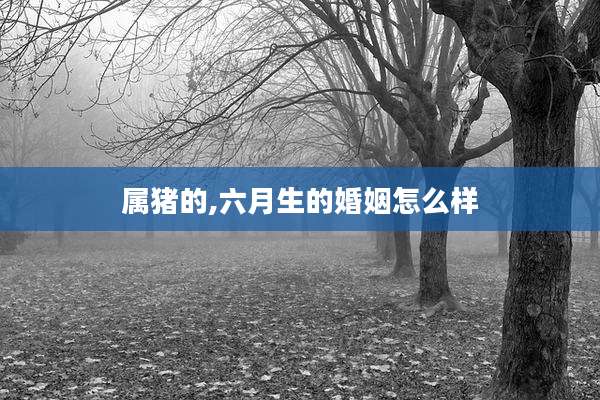 属猪的,六月生的婚姻怎么样
