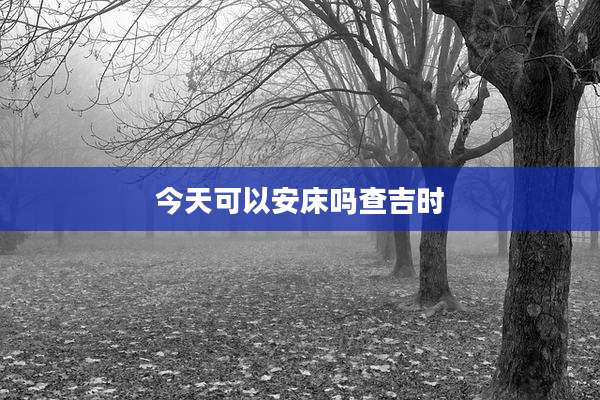 今天可以安床吗查吉时