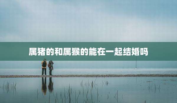 属猪的和属猴的能在一起结婚吗