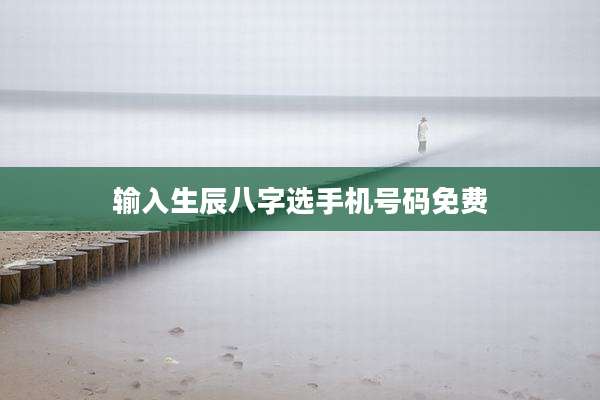 输入生辰八字选手机号码免费