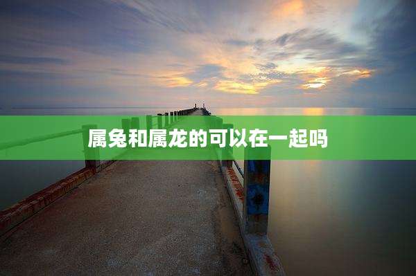 属兔和属龙的可以在一起吗