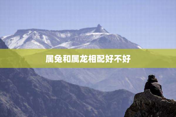 属兔和属龙相配好不好