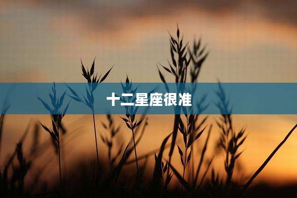 十二星座很准