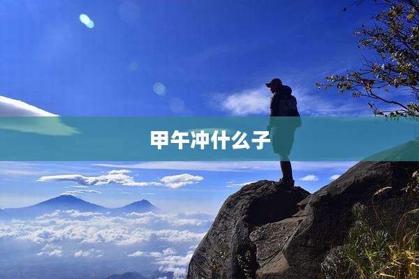 甲午冲什么子