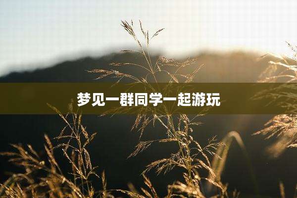 梦见一群同学一起游玩