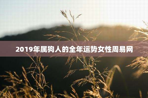 2019年属狗人的全年运势女性周易网