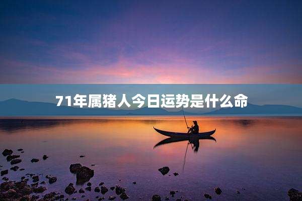 71年属猪人今日运势是什么命
