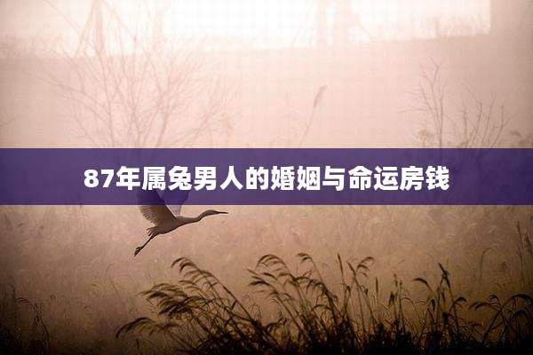87年属兔男人的婚姻与命运房钱