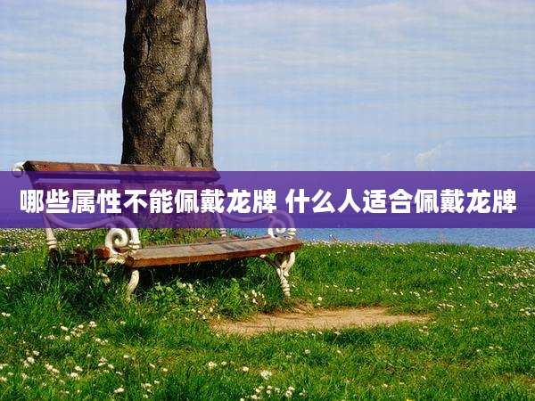 哪些属性不能佩戴龙牌 什么人适合佩戴龙牌