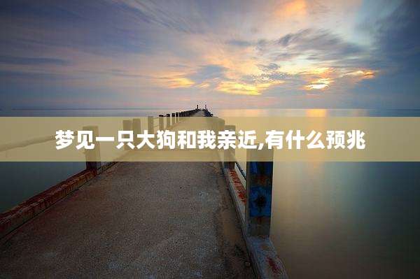 梦见一只大狗和我亲近,有什么预兆