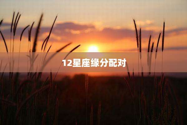 12星座缘分配对