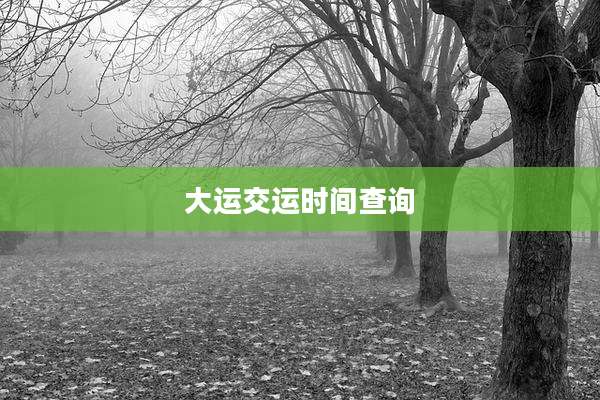 大运交运时间查询