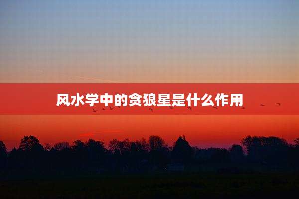 风水学中的贪狼星是什么作用