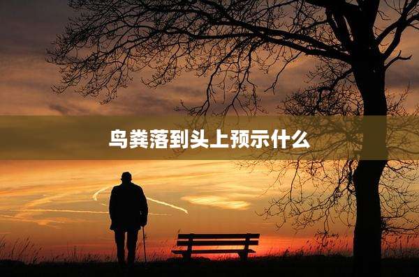 鸟粪落到头上预示什么