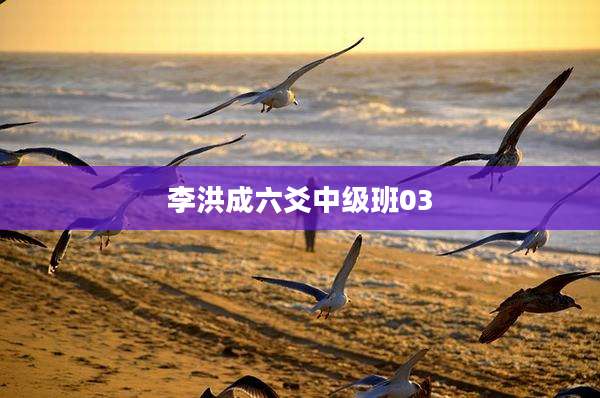 李洪成六爻中级班03