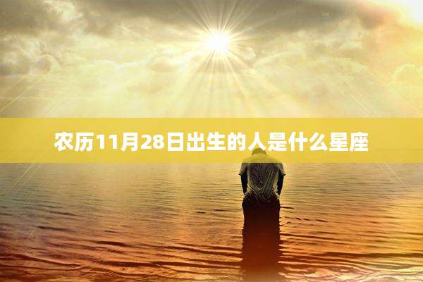 农历11月28日出生的人是什么星座