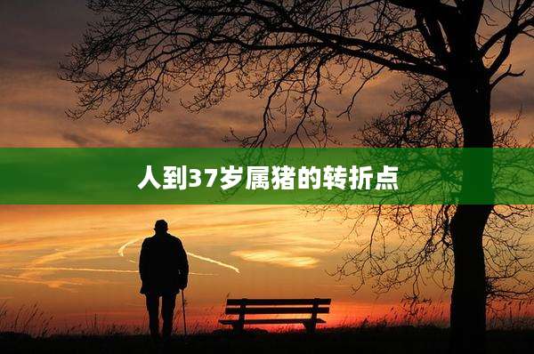 人到37岁属猪的转折点