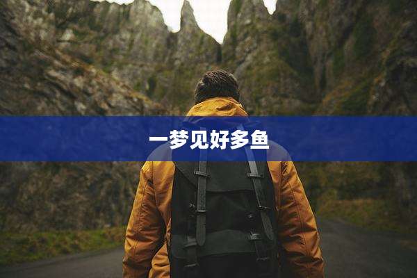 一梦见好多鱼
