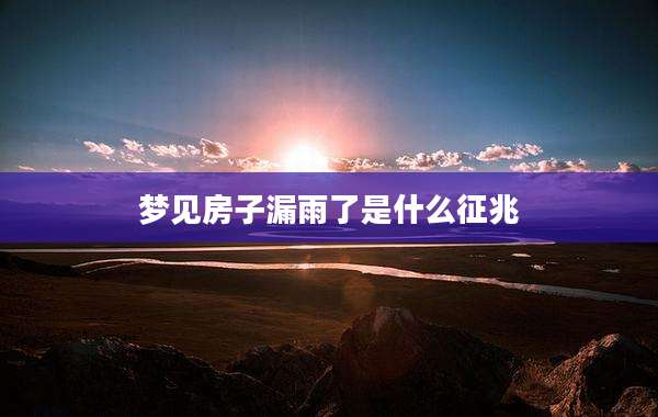 梦见房子漏雨了是什么征兆