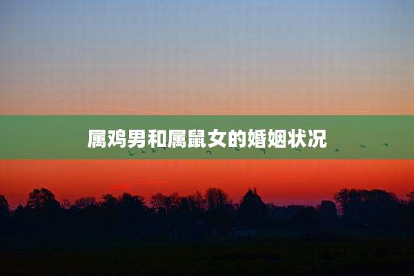 属鸡男和属鼠女的婚姻状况