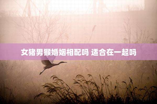 女猪男猴婚姻相配吗 适合在一起吗