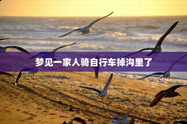 梦见一家人骑自行车掉沟里了