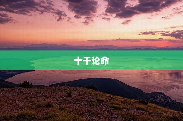 十干论命