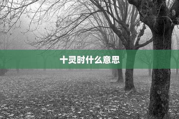 十灵时什么意思