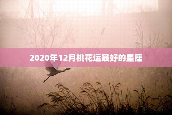 2020年12月桃花运最好的星座
