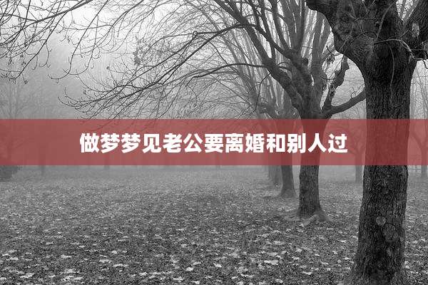 做梦梦见老公要离婚和别人过
