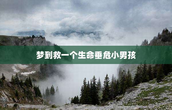 梦到救一个生命垂危小男孩
