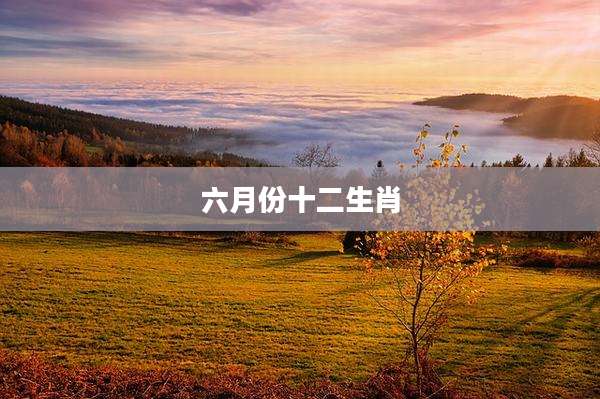 六月份十二生肖