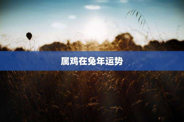 属鸡在兔年运势