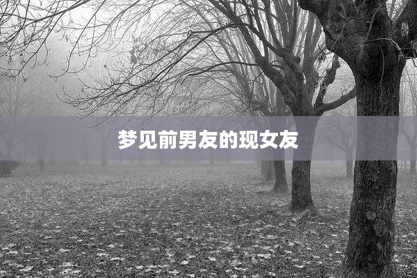梦见前男友的现女友