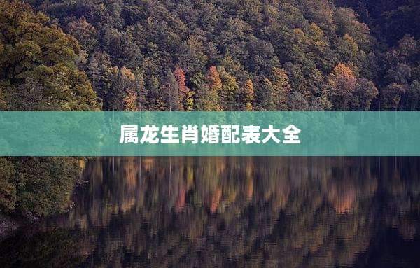 属龙生肖婚配表大全