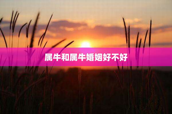 属牛和属牛婚姻好不好