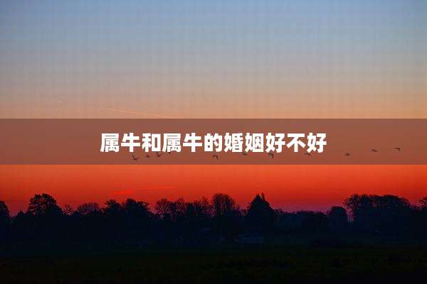 属牛和属牛的婚姻好不好