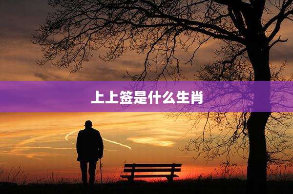 上上签是什么生肖