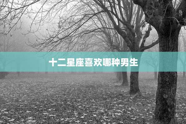 十二星座喜欢哪种男生